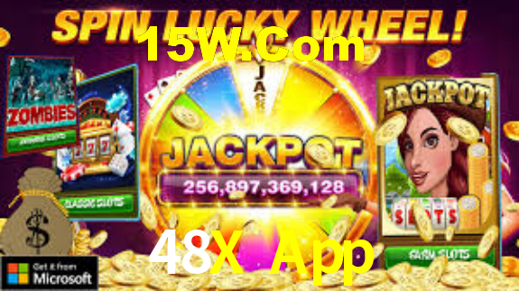 48X App App Interface